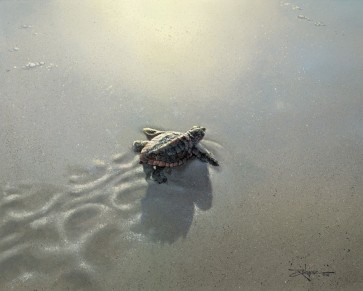 First Light by Rodel Gonzalez