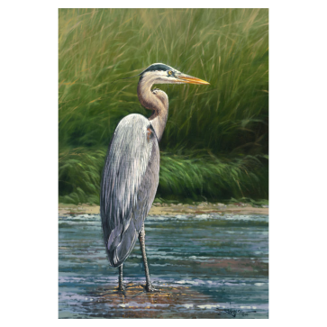 Big Blue (Heron) by Rodel Gonzalez