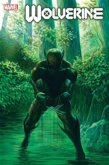 Wolverine 1 by Alex Ross