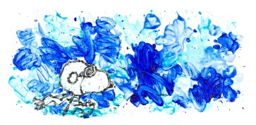 Partly Cloudy Suite: Partly Cloudy 7:15 Morning Fly by Tom Everhart (Regular)