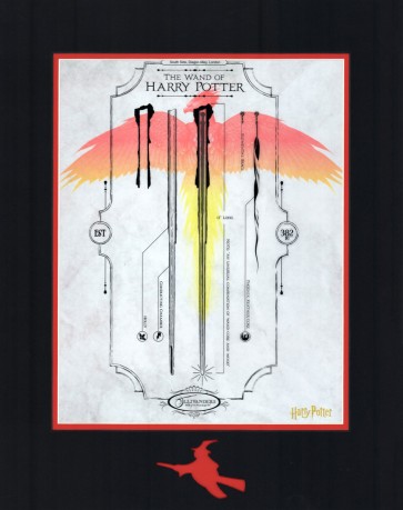 Harry Potter: The Wand
