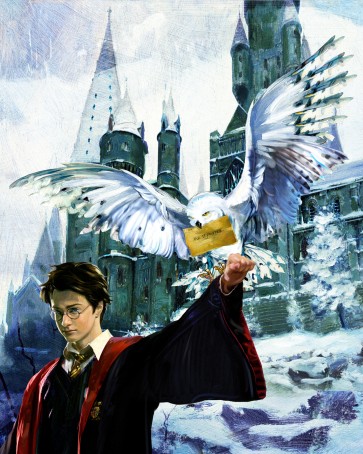Harry and Hedwig by Jim Salvati