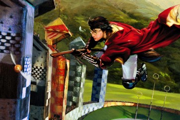 Harry and the Golden Snitch by Jim Salvati (Canvas)