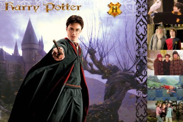 The Witches and Wizards of Harry Potter Collection: Harry Potter
