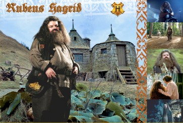 The Witches and Wizards of Harry Potter Collection: Rubeus Hagrid