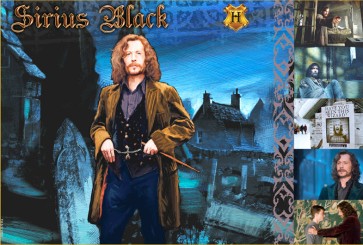 The Witches and Wizards of Harry Potter Collection: Sirius Black