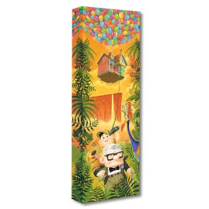 Treasures on Canvas: Journey to Paradise Falls by Tim Rogerson