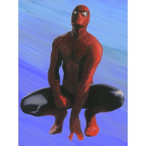 Heroes: Spider-Man by Alex Ross (Artist Proof)