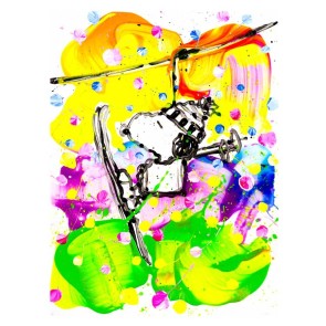 Mr. Slippery Slopes by Tom Everhart