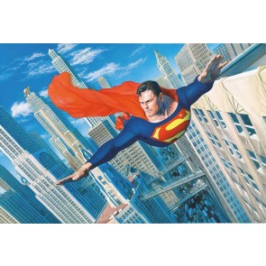 Superman: Look Up In The Sky by Alex Ross