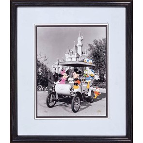 Walt's Magic Kingdom
