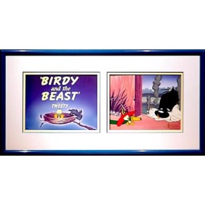 Birdy and the Beast