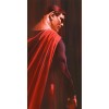 DC Shadows: Superman by Alex Ross (Paper)