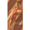 DC Shadows: SHAZAM! by Alex Ross (Paper)