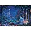 Disney Cinderella Dancing in the Starlight by Thomas Kinkade Studios