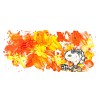 Partly Cloudy Suite: Partly Cloudy 7:30 Morning Fly by Tom Everhart (Regular)
