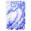 Venice Moon Dogg E Series: Venice Moon Dogg E 2 FULL by Tom Everhart (Regular)