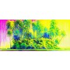 Hide and Seek Suite: Peacock by Tom Everhart