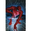 Spider-Man 1: Torment by Alex Ross (Paper)