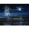 Moonlit Castle