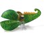 Borowski Chameleon Bowl, Green, Large (24-01-35)