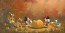 Picking the Perfect Pumpkin by Rob Kaz