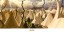 Tent City by Stuart Craig