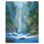 Tropical Radiance by James Coleman