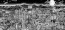 Midnight in Las Vegas by Charles Fazzino (Premiere)