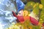 Mickey Sorcerer by ARCY