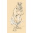 Junyer Bear by Chuck Jones
