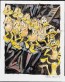 Nude Duck Descending a Staircase by Chuck Jones