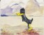September Morn by Chuck Jones
