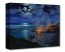 Treasures on Canvas: Watching Nature&rsquo;s Creation by Walfrido Garcia
