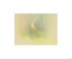 "Bambi Visual Development - 05002" Concept Art by Tyrus Wong