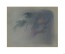 "Bambi Visual Development - 05001" Concept Art by Tyrus Wong