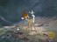 Bambi (Marc Davis / Ollie Johnston / Frank Thomas)