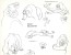 Disney Publication Model Sheet: Bear (Fox and the Hound)