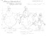 Disney Publication Model Sheet: The Walrus