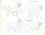 Disney Publication Model Sheet: Tod - Adult (Fox and the Hound)