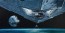 Vader's Arrival by Rodel Gonzalez (Deluxe)