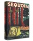 Treasures on Canvas: Sequoia by Bret Iwan