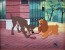 Lady and Tramp with Leash and Muzzle (Sequence 5, Scene 48)