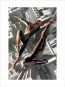 Marvel Knights 2 by Alex Ross (Artist Proof)