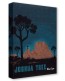 Treasures on Canvas: Joshua Tree by Bret Iwan