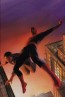 Tribute: Amazing Fantasy #15 by Alex Ross (Regular)