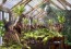 Harry Potter Hogwarts Greenhouse by Thomas Kinkade Studios