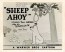 Sheep Ahoy Lobby Card by Chuck Jones