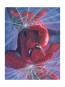 Marvelocity: Spider-Man by Alex Ross (Lithograph)