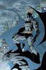 Knightwatch by Jim Lee (Deluxe)